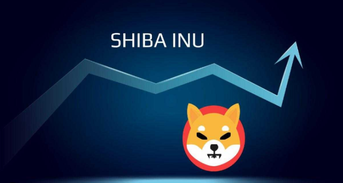 Shiba Inu Tallies 77% Build-up By Major Investors– Helpful For SHIB Rate?