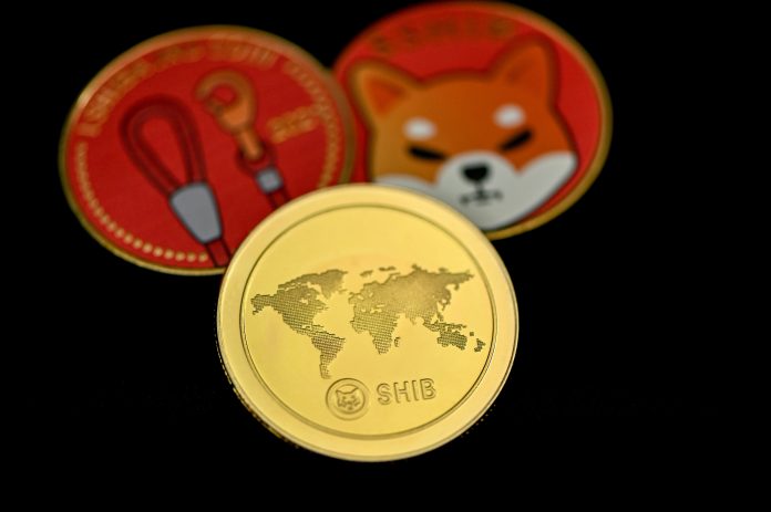 Shiba Inu Neighborhood Sounds Caution Alarm As Scammers Siege Shibarium Shiba Inu Neighborhood Sounds Caution Alarm As Scammers Siege Shibarium
