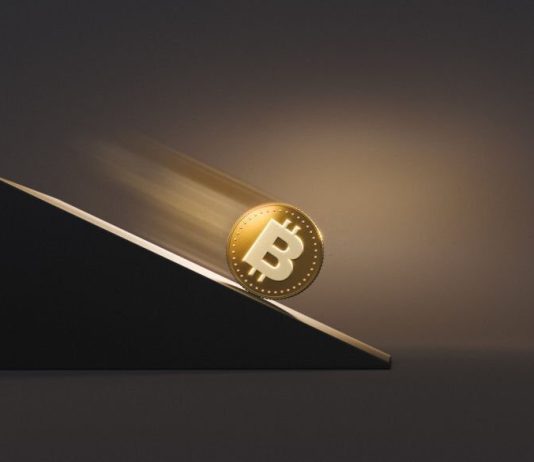 Bitcoin Dips Listed Below $25,000 As Previous Paypal President Hails It As Universal Web Currency