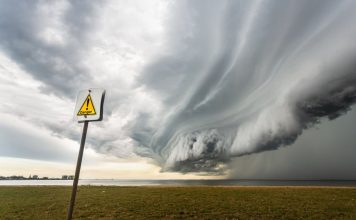 FTX Reveals $3.4 B Crypto Holdings: $1.16 B Solana, $560 M Bitcoin– Is Difficulty On The Horizon? FTX Reveals $3.4 B Crypto Holdings: $1.16 B Solana, $560 M Bitcoin– Is Difficulty On The Horizon?