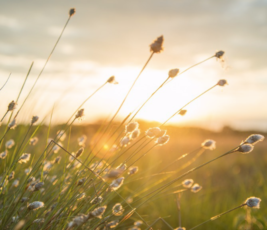 Can Ethereum Tally Spring Highs After Correction? Leading Expert Shares His Views Can Ethereum Tally Spring Highs After Correction? Leading Expert Shares His Views