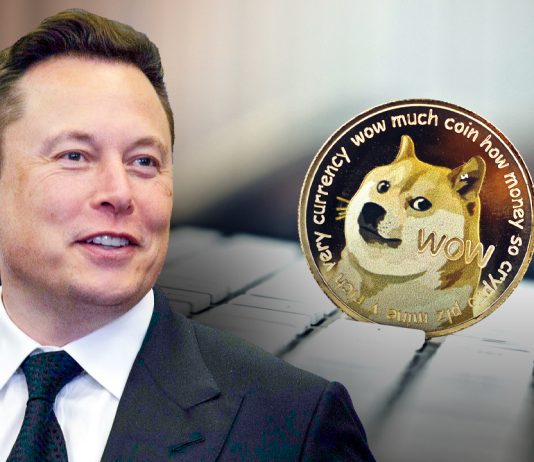 Elon Musk’s Bio Simply Dropped: Here Are Very Important Excerpts About Dogecoin