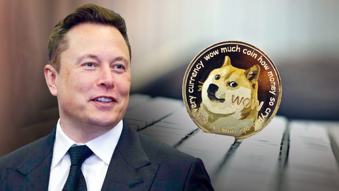 Elon Musk’s Bio Simply Dropped: Here Are Very Important Excerpts About Dogecoin