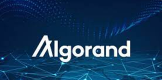 Algorand (ALGO) Might Have A Possibility At A Bullish Streak– Here’s How