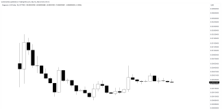 Dogecoin Cost Forecast for 2023, 2024, 2025, 2030 & & Beyond