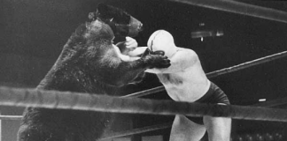 Toncoin Shatters Bearish Predictions With 40% Rally – What’s The Story?