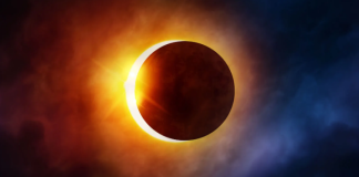 Solana Eclipsing Ethereum? Wall Road Veteran’s Prime Altcoin Choose Emerges Solana Eclipsing Ethereum? Wall Road Veteran’s Prime Altcoin Choose Emerges