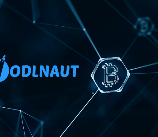 Hodlnaut Refuses OPNX’s $30 Million Provide After FLEX Token Declines By 90% Hodlnaut Refuses OPNX’s $30 Million Provide After FLEX Token Declines By 90%