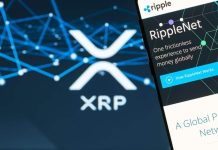Main Milestones Reveals XRP Ledger Is Turning into A DeFi Drive To Be Reckoned With