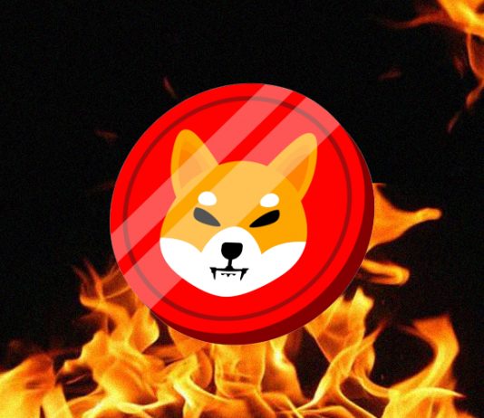 Shiba Inu (SHIB) Burn Fee Sees Exponential 627% Soar