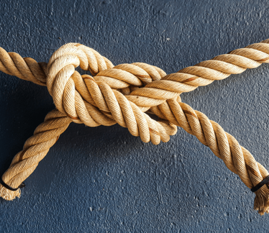 LINKing The Dots: Why Chainlink May Be The Altcoin To Watch, Prime Dealer Says