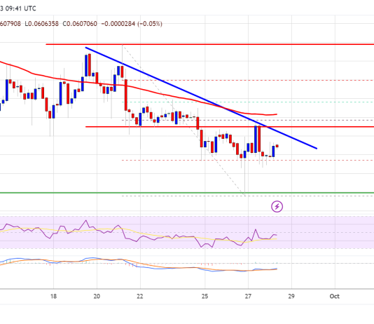 Dogecoin Value (DOGE) Prediction – Key Assist Intact However Bulls Face Challenges