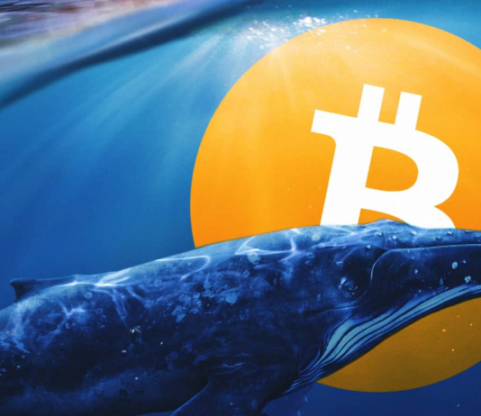 Report Reveals Crypto Whale Heart With Majority Of Transactions Crossing $1 Million