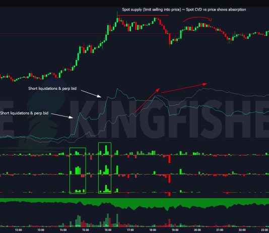 Why Is Bitcoin Worth Up Right this moment? Insights From Main Analysts