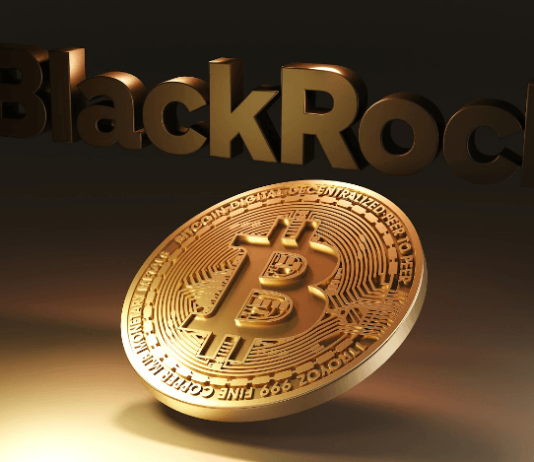 $9 Trillion BlackRock Sees Bitcoin Spot ETF Approval Delayed, What This implies