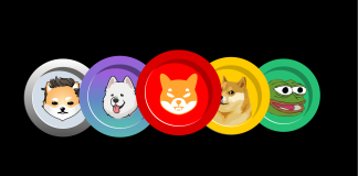 Crypto Analyst Reveals Which Meme Coin Will Topple Dogecoin In The Bull Market