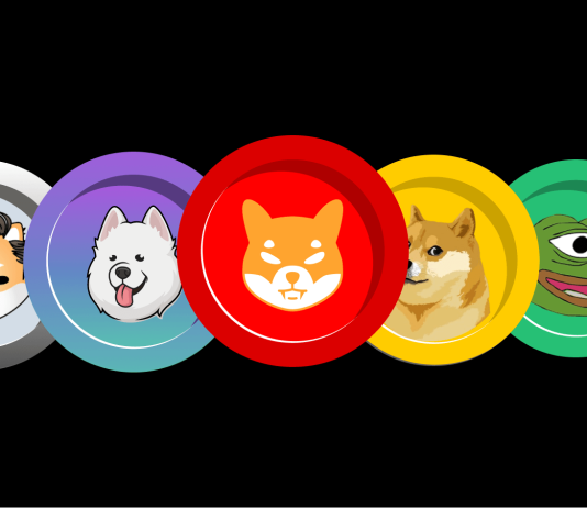 Crypto Analyst Reveals Which Meme Coin Will Topple Dogecoin In The Bull Market