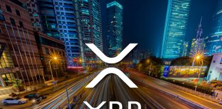 Crypto CEO Very Bullish On XRP Worth, Units Make Or Break Level