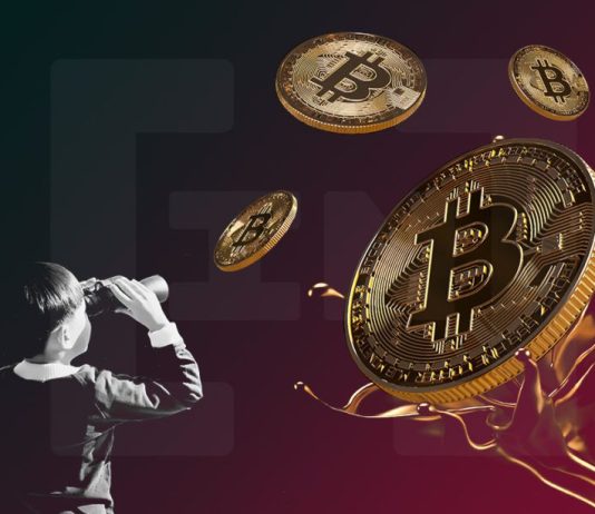 Bitcoin Creator Satoshi Nakamoto Sparks Hypothesis As Cryptic E-mail, X Account Resurfaces