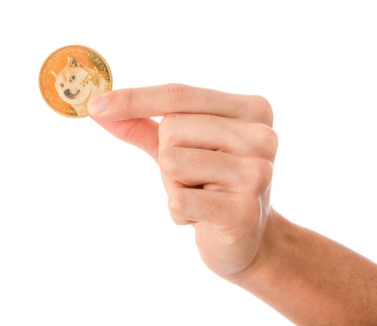 Is Dogecoin On Life Assist? Analyzing Its Latest Value Downturn