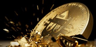 Will Bitcoin Worth Crash To $10,000? Bloomberg Skilled Reveals When