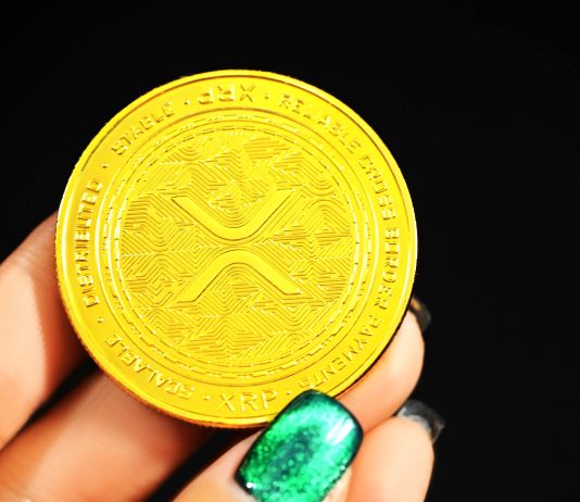 XRP, Polygon See Month-Excessive Volumes As Traders Present FOMO