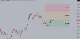 This Dealer Thinks Bitcoin Is Undervalued Under $30,000: Time To Purchase Extra BTC?