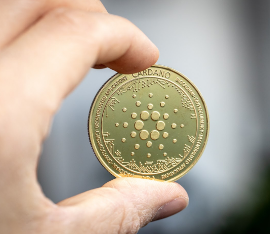 Assessing Cardano’s Struggles: Will Key Help Ranges Halt The Decline Above $0.27?