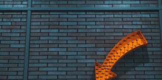 Bitcoin Information: Right here Is When BTC May Revisit $20,000 One Final Time, Analyst Says