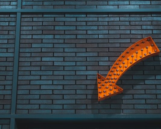 Bitcoin Information: Right here Is When BTC May Revisit $20,000 One Final Time, Analyst Says