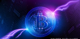 Bitcoin Value Plunge: Lengthy-Time period Holders Purchase $1.35 Billion Value Of BTC