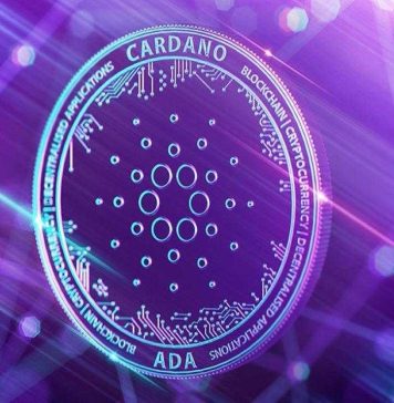 Cardano (ADA) Addresses In Loss Rise Over 94%, Is It Time To Leap Ship?