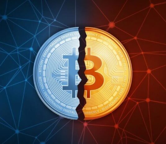 What To Anticipate If Historic Bitcoin Halving Cycles Repeat