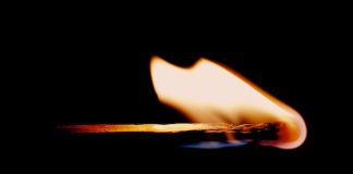 How Ripple’s Rumored Token Burn Might Have an effect on The XRP Value
