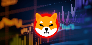 Shiba Inu Worth Spiral: 91% Of Buyers Brace For Vital Losses