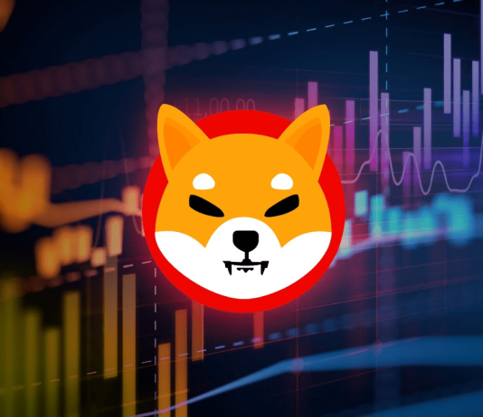 Shiba Inu Worth Spiral: 91% Of Buyers Brace For Vital Losses
