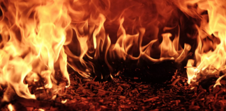 Shiba Inu Burn Fee Takes A Steep Dive: 91% Lower In 24 Hours