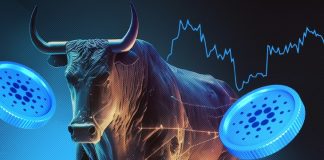 Cardano (ADA) Getting Prepared To Explode: Analyst Presents 16,500% Blowout