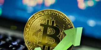 Bitcoin Value Surges Previous $30,000, Right here’s Why