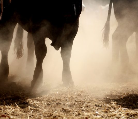 Ethereum Accelerates Towards $2,000 However Can The Bulls Make It?