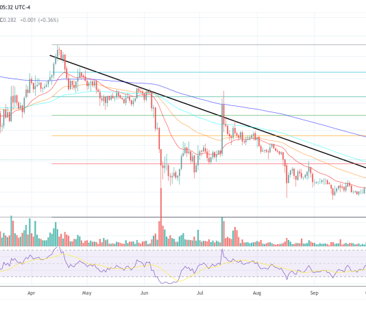 Cardano Passes Essential Replace As ADA Value Prepares For 65% Rally