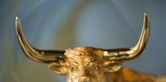 XRP Value Confirms Early Levels Of Bull Market? Knowledge Sheds Mild On Current Rally