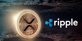 Professional-XRP Authorized Professional Shares Expectations If SEC Wins Enchantment Towards Ripple