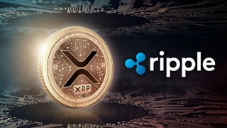 Professional-XRP Authorized Professional Shares Expectations If SEC Wins Enchantment Towards Ripple