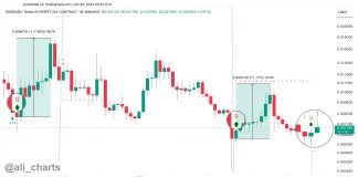 Shiba Inu Worth Prints Uncommon Purchase Sign, What You Want To Know