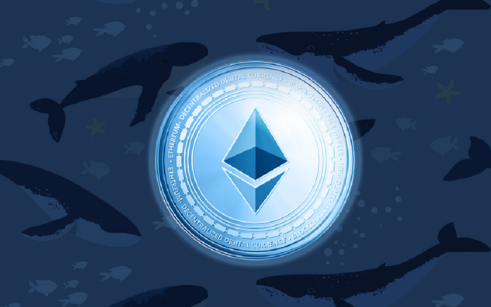Huge Ethereum Whale Switch Threatens To Finish ETH Rally, Right here’s Why