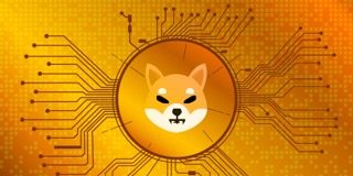 Shiba Inu Workforce Member Clarifies SHIB Burn As Shibarium Grows