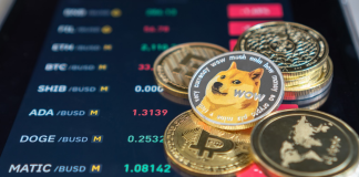 Charting The Dogecoin Path: Extra Positive factors On the Horizon?