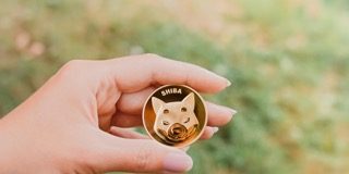 Shiba Inu Burn Charge Nosedives Following 7,700% Soar, What Occurred?