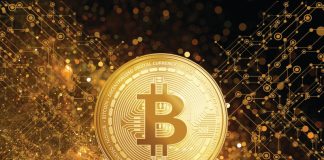 Why This Constancy Investments Director Believes Bitcoin Is ‘Exponential Gold’